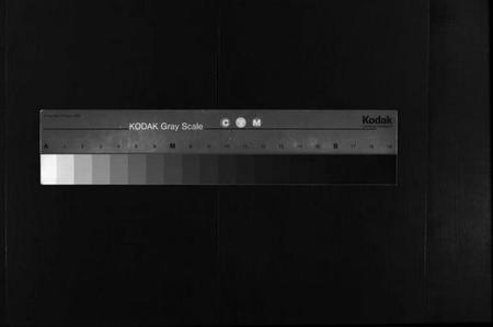 湖南颜氏族谱-颜氏族谱 [19卷,含首1卷].pdf电子版