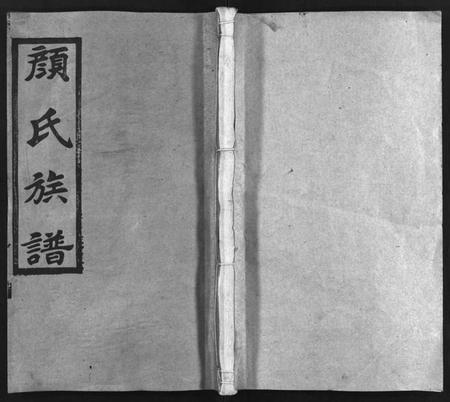 湖南颜氏族谱-颜氏族谱 [19卷,含首1卷].pdf电子版插图1