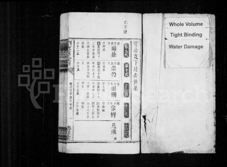 湖南严氏族谱-浏东严氏族谱.pdf电子版插图1