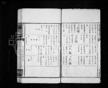 湖南严氏族谱-浏东严氏族谱.pdf电子版插图2