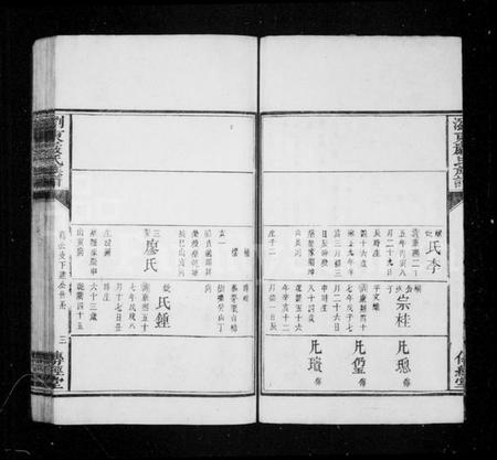 湖南严氏族谱-浏东严氏族谱.pdf电子版插图3