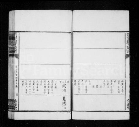 湖南严氏族谱-浏东严氏族谱.pdf电子版插图4