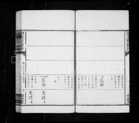 湖南严氏族谱-浏东严氏族谱.pdf电子版插图5