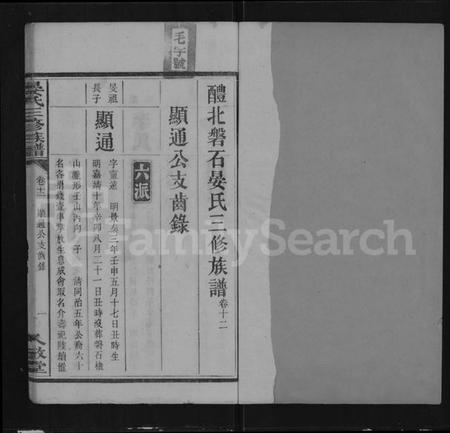 湖南晏氏族谱-渌江磐石晏氏族谱 [24卷,及卷首].pdf电子版插图1