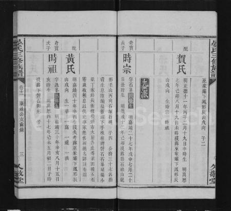 湖南晏氏族谱-渌江磐石晏氏族谱 [24卷,及卷首].pdf电子版插图3