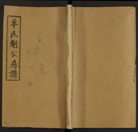 湖南羊氏族谱-太原羊氏魁公宗谱 [16卷及卷首末].pdf电子版