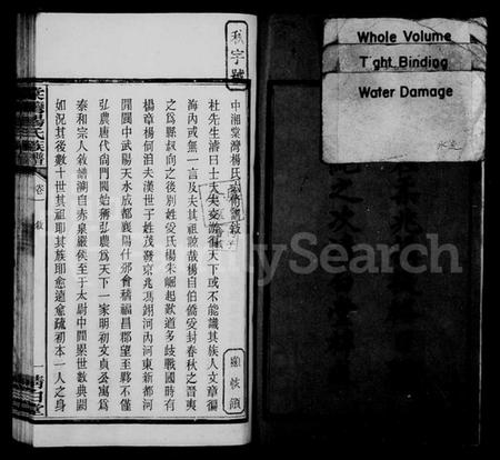 湖南杨氏族谱-中湘棠湾杨氏六修谱 [20卷].pdf电子版插图4