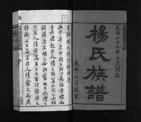 湖南杨氏族谱-古塘杨氏续修族谱 [26卷].pdf电子版插图2