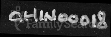 湖南杨氏族谱-太障杨氏族谱 [50卷].pdf电子版插图4