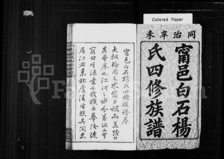 湖南杨氏族谱-宁邑白石杨氏四修族谱 [18卷,首末各1卷].pdf电子版插图2