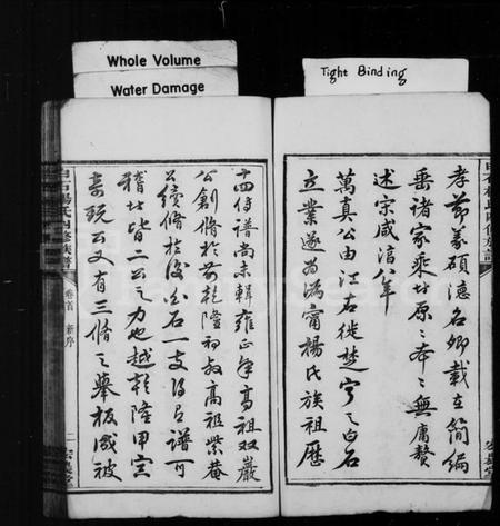 湖南杨氏族谱-宁邑白石杨氏四修族谱 [18卷,首末各1卷].pdf电子版插图4