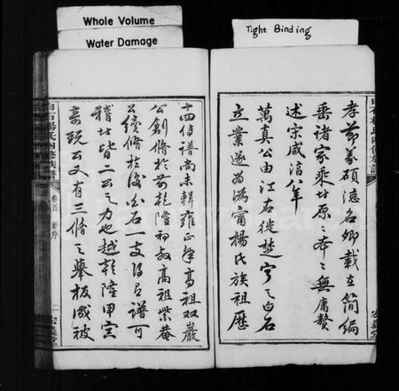 湖南杨氏族谱-宁邑白石杨氏四修族谱 [18卷,首末各1卷].pdf电子版插图5