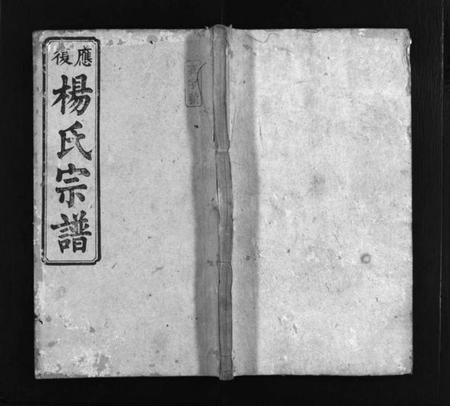 湖南杨氏族谱-应复杨氏宗谱 [世系4卷,行传62卷,首5卷,附谱1卷].pdf电子版插图1