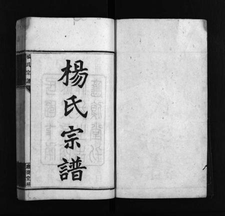 湖南杨氏族谱-应复杨氏宗谱 [世系4卷,行传62卷,首5卷,附谱1卷].pdf电子版插图2