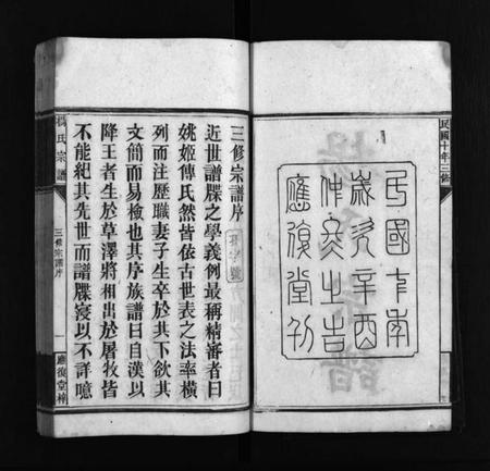 湖南杨氏族谱-应复杨氏宗谱 [世系4卷,行传62卷,首5卷,附谱1卷].pdf电子版插图3