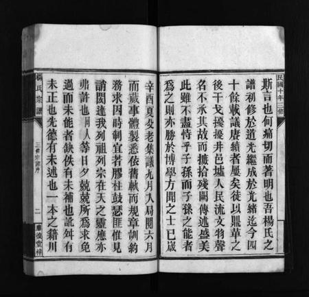 湖南杨氏族谱-应复杨氏宗谱 [世系4卷,行传62卷,首5卷,附谱1卷].pdf电子版插图4