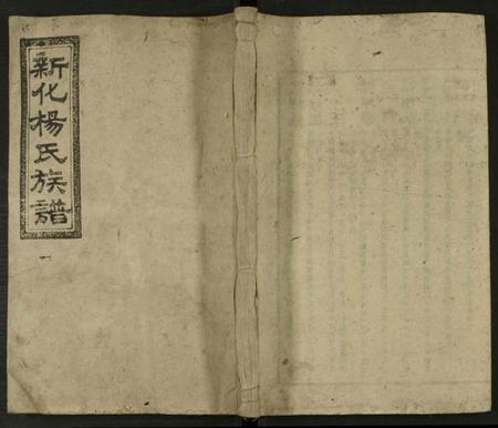 湖南杨氏族谱-新化杨氏族谱 [世系5卷,首10卷].pdf电子版