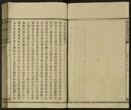 湖南杨氏族谱-新化杨氏族谱 [世系5卷,首10卷].pdf电子版插图4