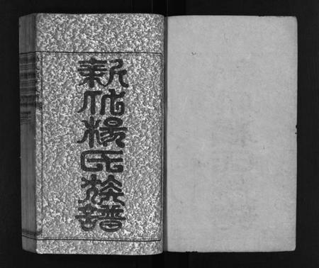 湖南杨氏族谱-新化杨氏族谱 [卷首10卷,世系13卷].pdf电子版插图2