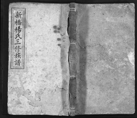 湖南杨氏族谱-新桥杨氏三修族谱 [29卷含首1卷,末1卷].pdf电子版插图1