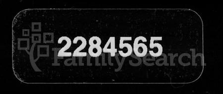 湖南杨氏族谱-新桥杨氏四修族谱 [62卷,首末各1卷,艺文3卷].pdf电子版