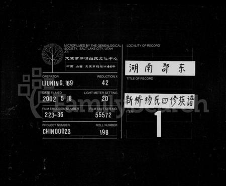 湖南杨氏族谱-新桥杨氏四修族谱 [62卷,首末各1卷,艺文3卷].pdf电子版插图3