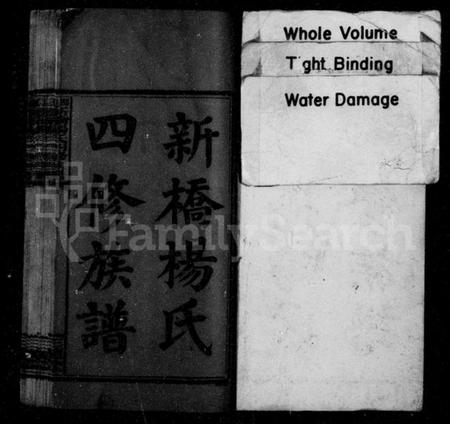 湖南杨氏族谱-新桥杨氏四修族谱 [62卷,首末各1卷,艺文3卷].pdf电子版插图5