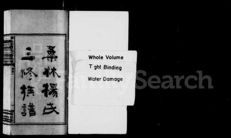 湖南杨氏族谱-桑林杨氏三修族谱 [13卷,首2卷].pdf电子版插图2