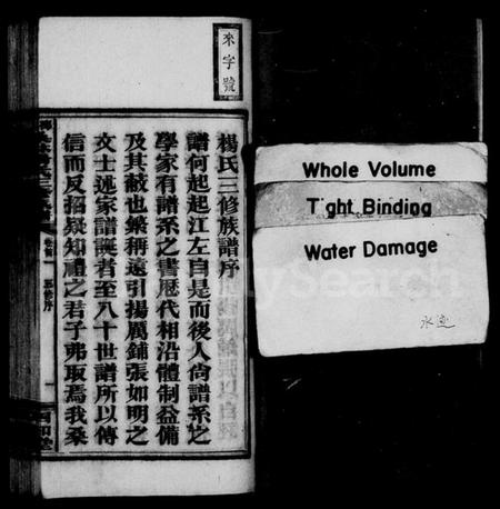 湖南杨氏族谱-桑林杨氏三修族谱 [13卷,首2卷].pdf电子版插图4