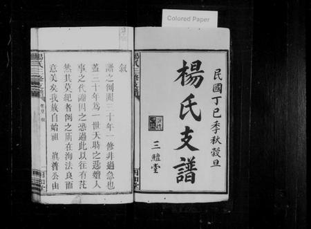 湖南杨氏族谱-杨氏三修支谱 [5卷,首2卷].pdf电子版插图2