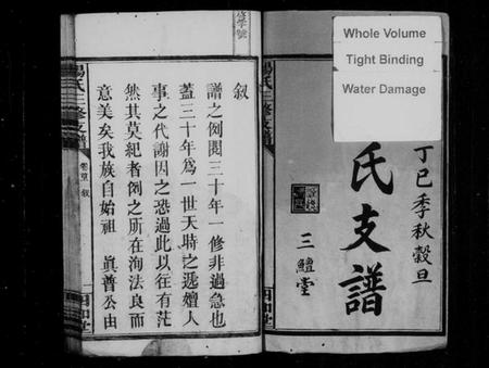 湖南杨氏族谱-杨氏三修支谱 [5卷,首2卷].pdf电子版插图3