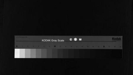 湖南杨氏族谱-杨氏五修宗谱 [13卷,含首2卷].pdf电子版