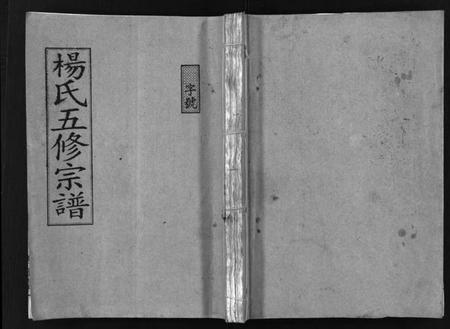 湖南杨氏族谱-杨氏五修宗谱 [13卷,含首2卷].pdf电子版插图1