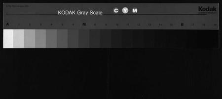 湖南杨氏族谱-杨氏五修族谱[14卷,首3卷].pdf电子版