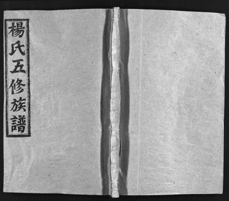 湖南杨氏族谱-杨氏五修族谱[14卷,首3卷].pdf电子版插图1