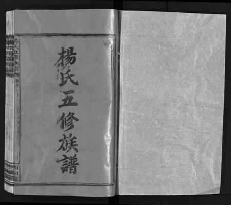 湖南杨氏族谱-杨氏五修族谱[14卷,首3卷].pdf电子版插图2