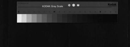 湖南杨氏族谱-杨氏五修谱牒[12卷,首1卷].pdf电子版