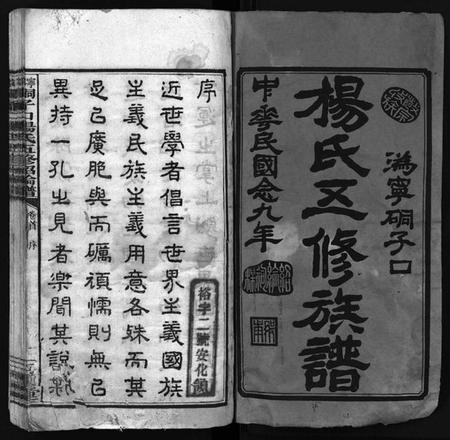 湖南杨氏族谱-杨氏五修谱牒[12卷,首1卷].pdf电子版插图2