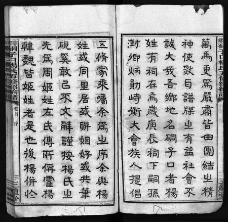 湖南杨氏族谱-杨氏五修谱牒[12卷,首1卷].pdf电子版插图4