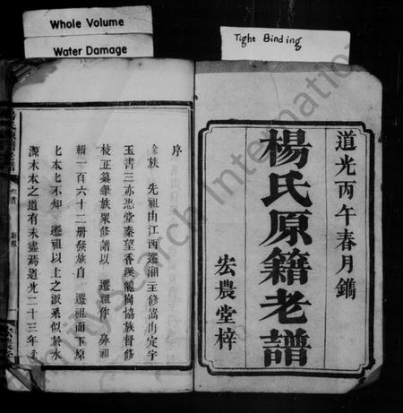 湖南杨氏族谱-杨氏原籍老谱 [卷数杂异].pdf电子版插图2