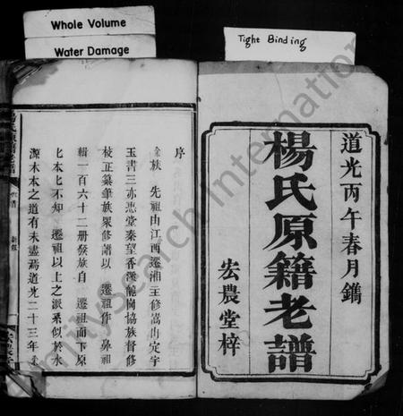 湖南杨氏族谱-杨氏原籍老谱 [卷数杂异].pdf电子版插图3