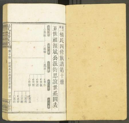 湖南未知族谱-杨氏四修族谱 [12册].pdf电子版插图1