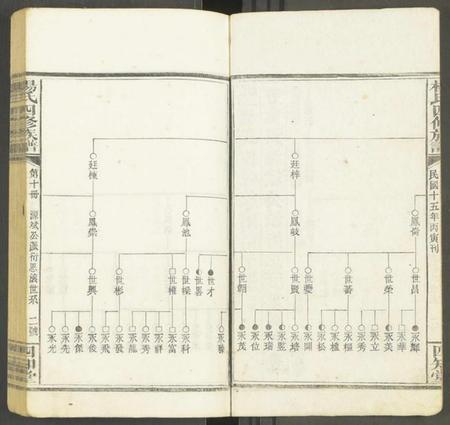 湖南未知族谱-杨氏四修族谱 [12册].pdf电子版插图2