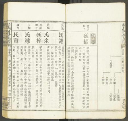 湖南未知族谱-杨氏四修族谱 [12册].pdf电子版插图4