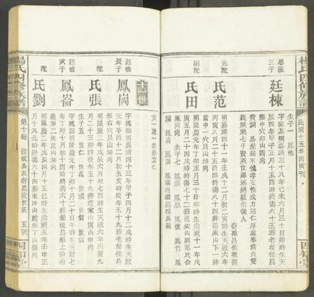 湖南未知族谱-杨氏四修族谱 [12册].pdf电子版插图5