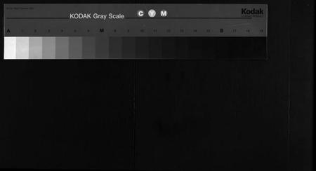 湖南杨氏族谱-杨氏四修族谱 [14卷,首3卷].pdf电子版