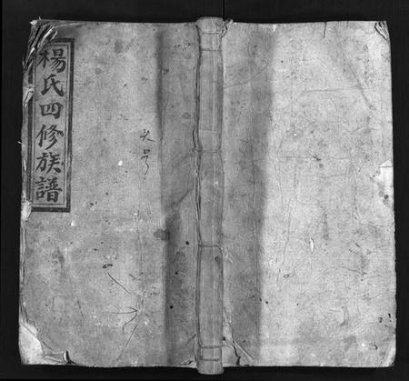 湖南杨氏族谱-杨氏四修族谱 [14卷,首3卷].pdf电子版插图1