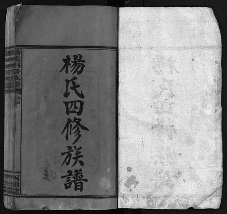 湖南杨氏族谱-杨氏四修族谱 [14卷,首3卷].pdf电子版插图2