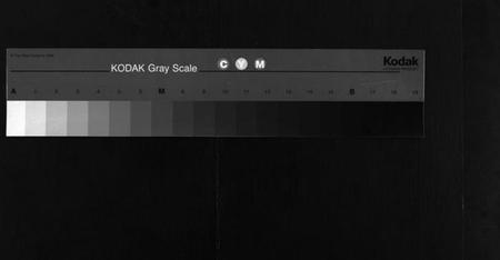 湖南杨氏族谱-杨氏四修族谱 [8卷,首1卷,末3卷].pdf电子版