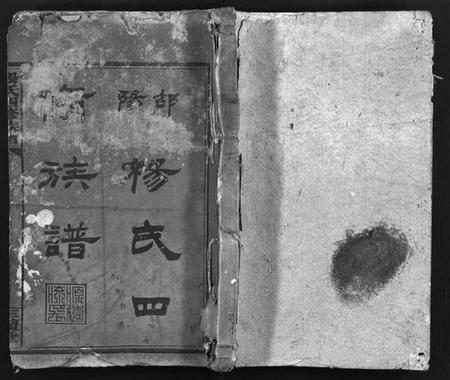 湖南杨氏族谱-杨氏四修族谱 [8卷,首1卷,末3卷].pdf电子版插图1